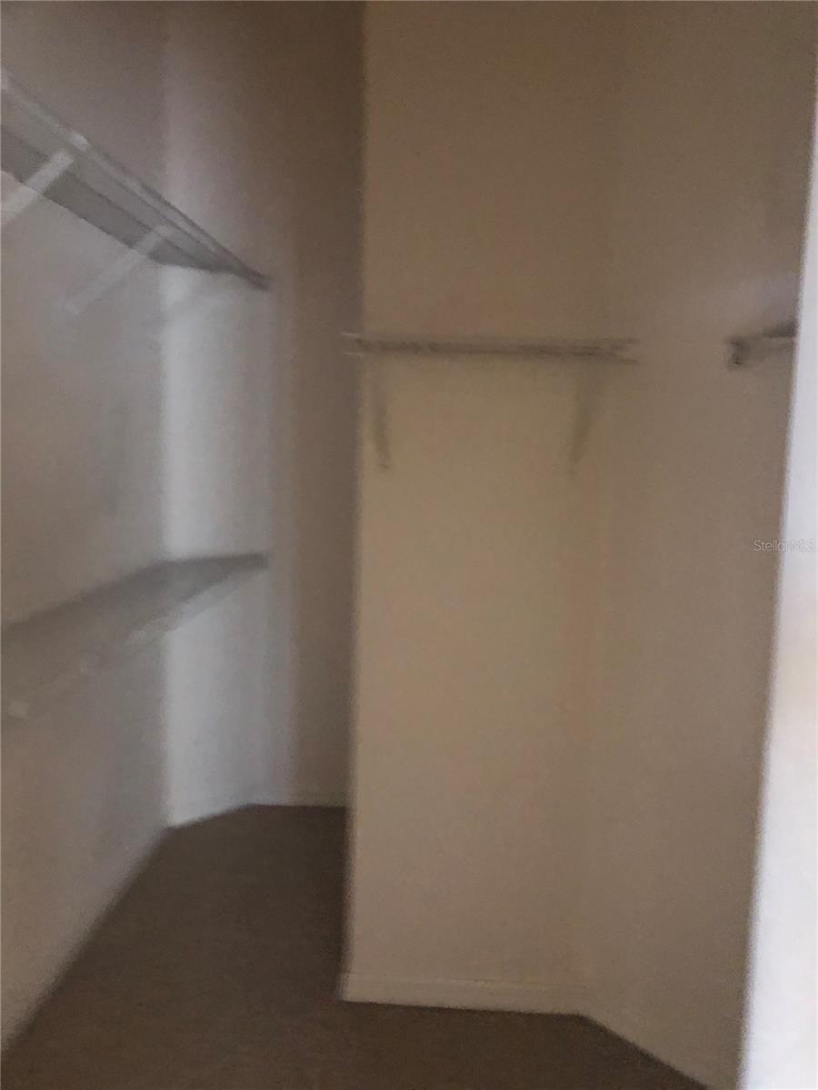 Image 10 of 35 For 17344 Cricket Chirp Loop