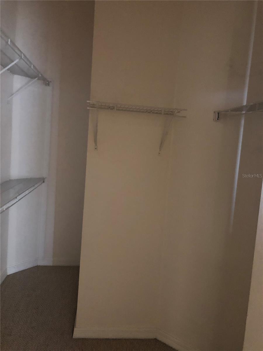 Image 11 of 35 For 17344 Cricket Chirp Loop