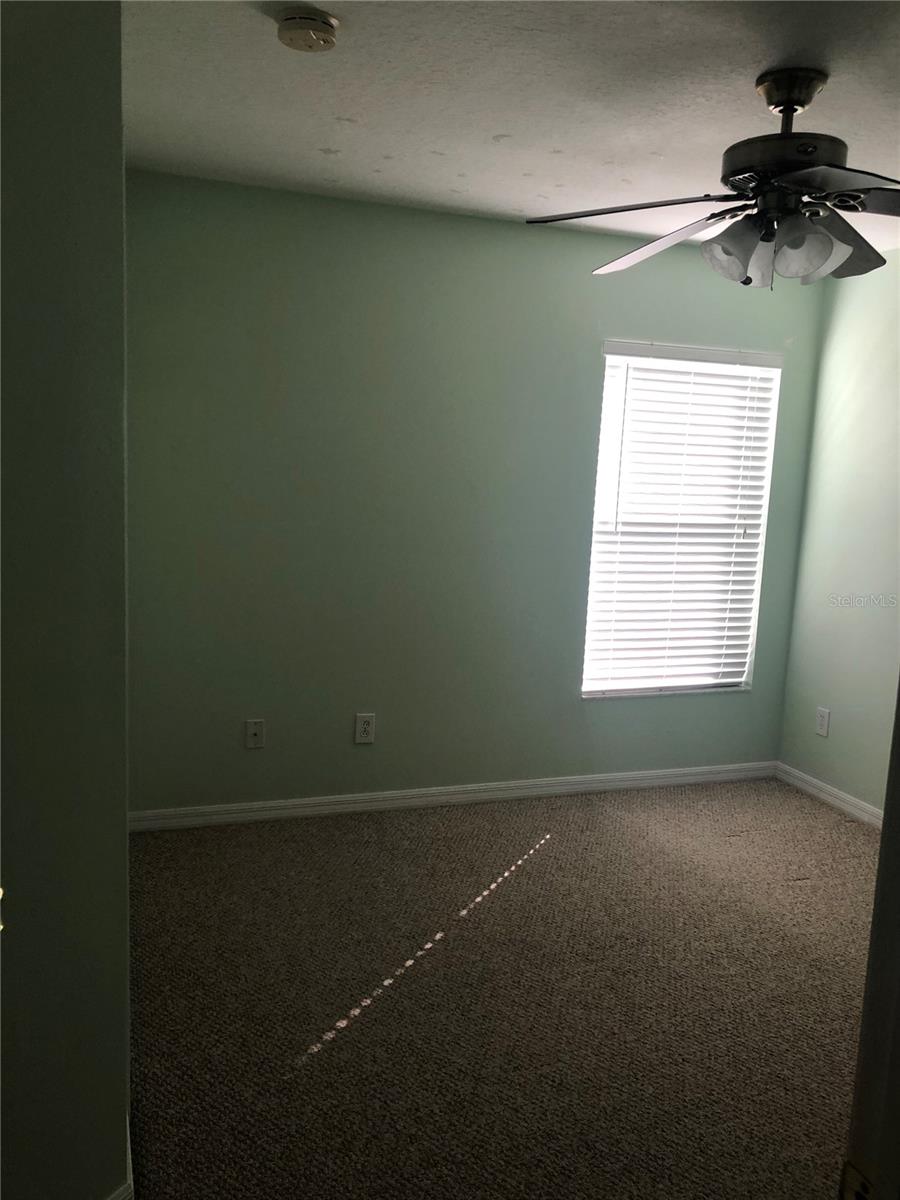 Image 12 of 35 For 17344 Cricket Chirp Loop