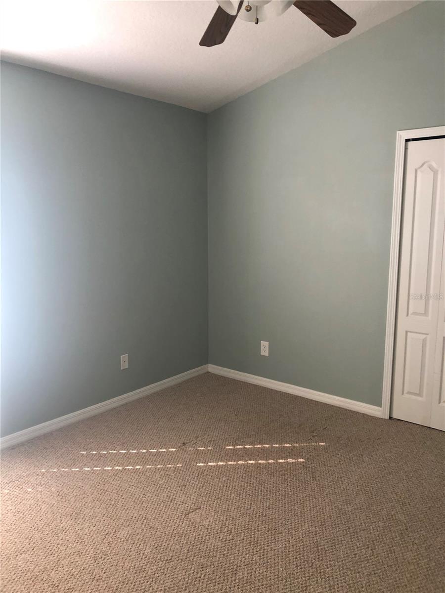 Image 15 of 35 For 17344 Cricket Chirp Loop