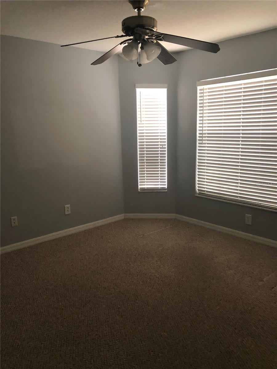 Image 17 of 35 For 17344 Cricket Chirp Loop