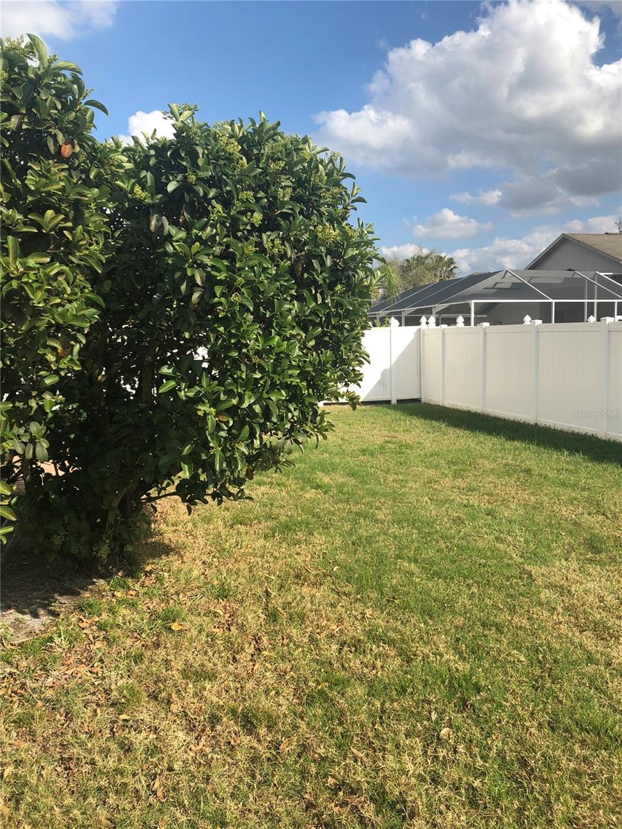 Image 32 of 35 For 17344 Cricket Chirp Loop