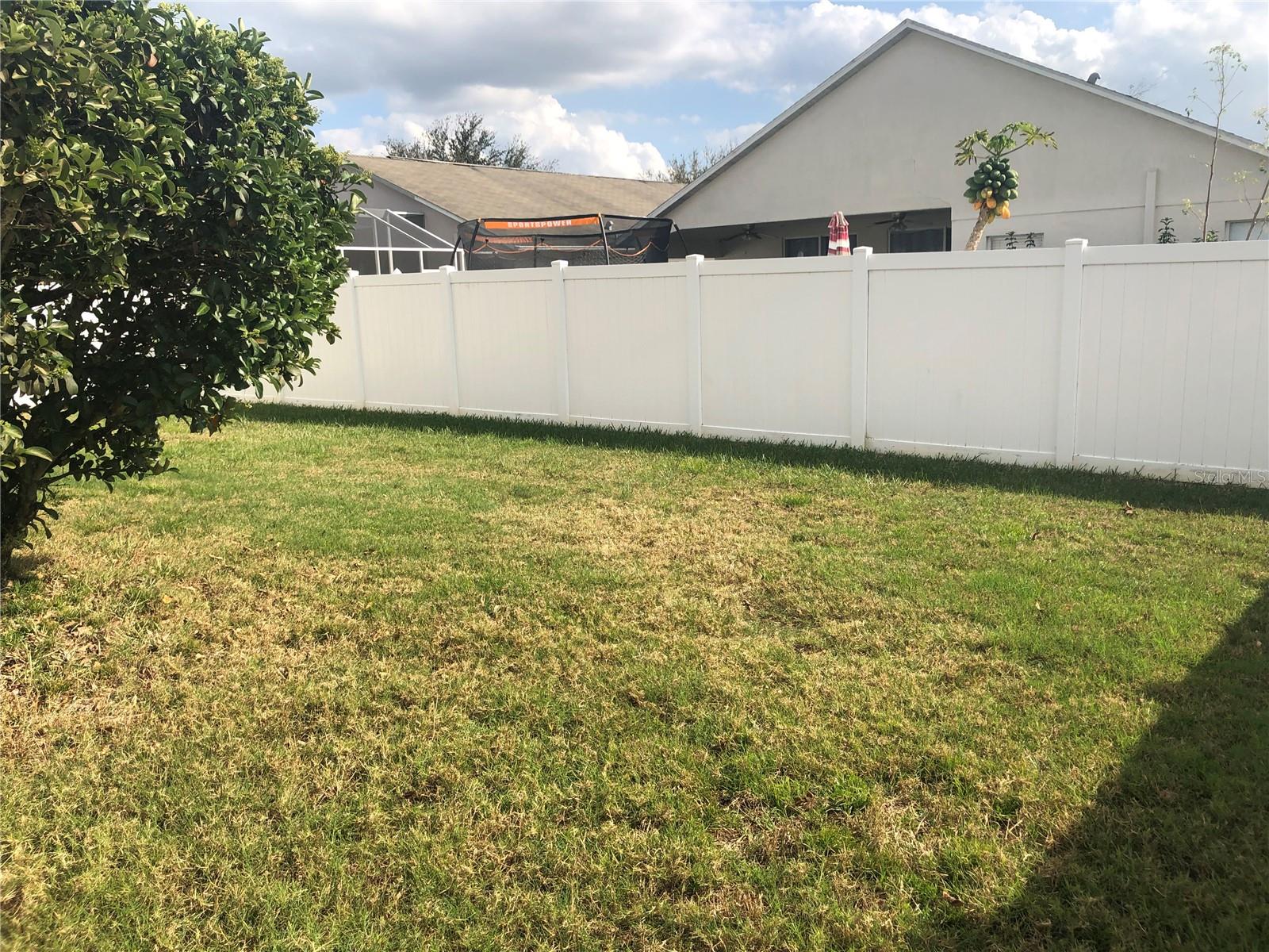 Image 34 of 35 For 17344 Cricket Chirp Loop