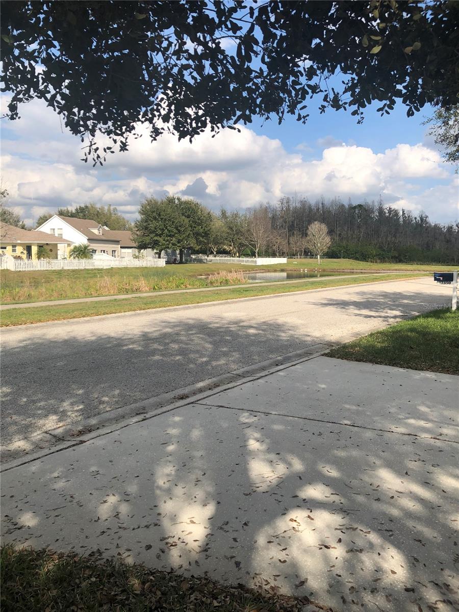 Image 35 of 35 For 17344 Cricket Chirp Loop