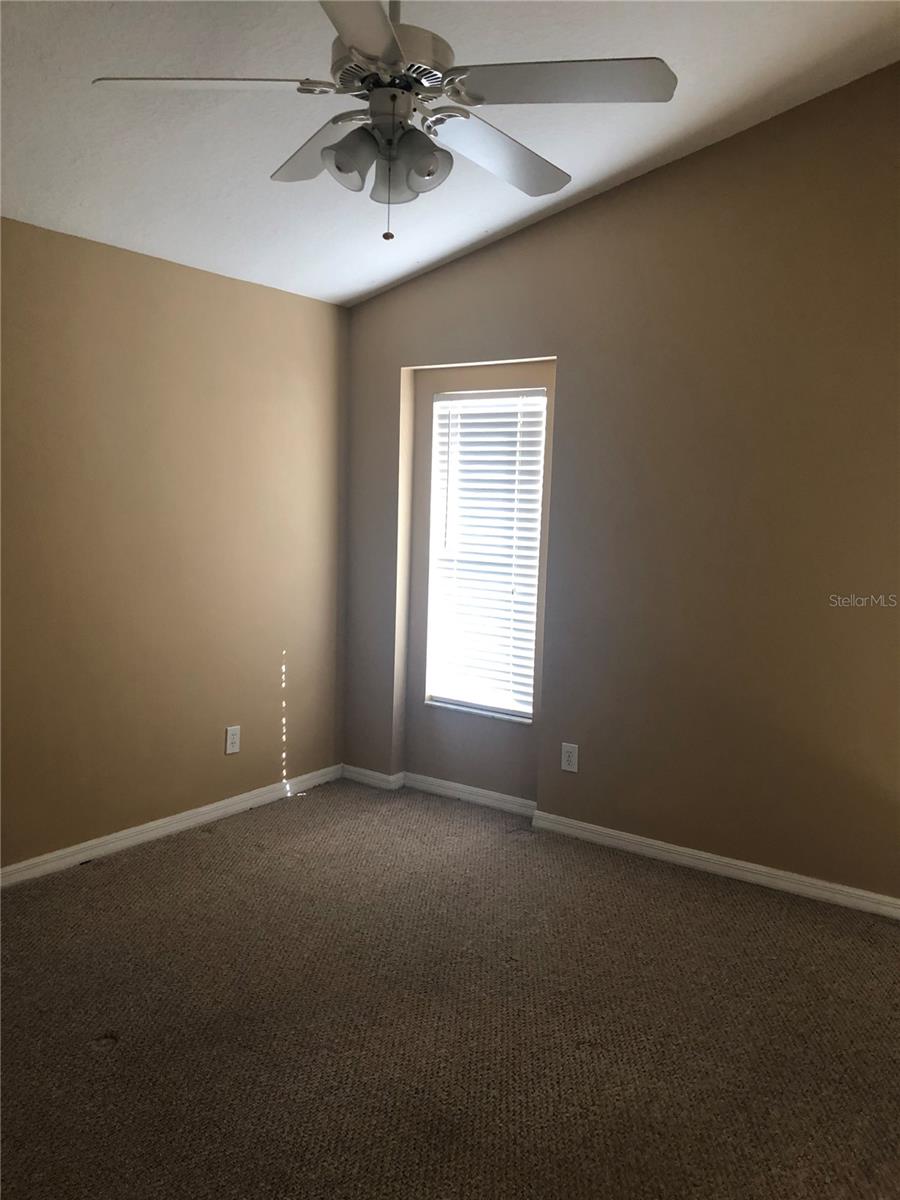 Image 4 of 35 For 17344 Cricket Chirp Loop