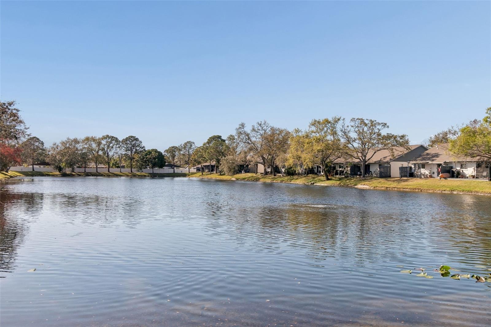 Image 41 of 44 For 3766 El Camino Court