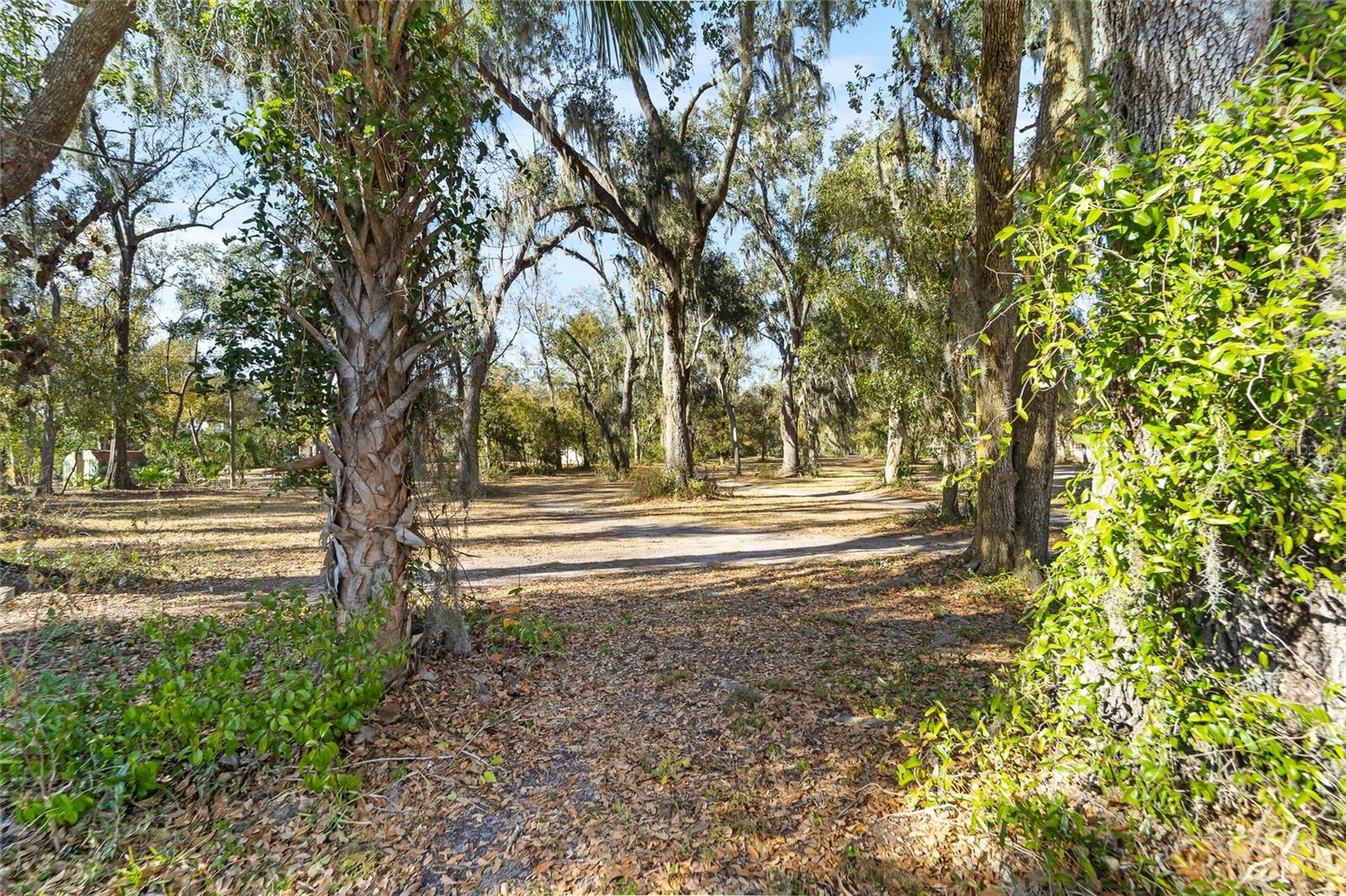 Image 10 of 16 For 3007 Owls Nest Lane