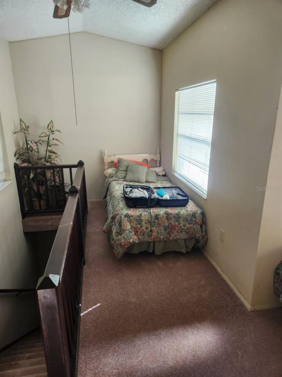 Image 10 of 50 For 9428 Cat Track Trail