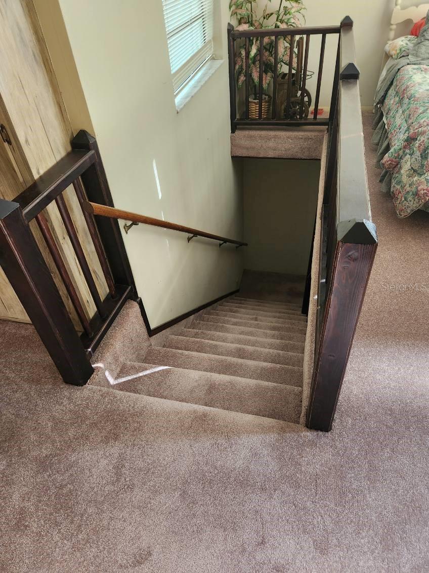 Image 32 of 50 For 9428 Cat Track Trail