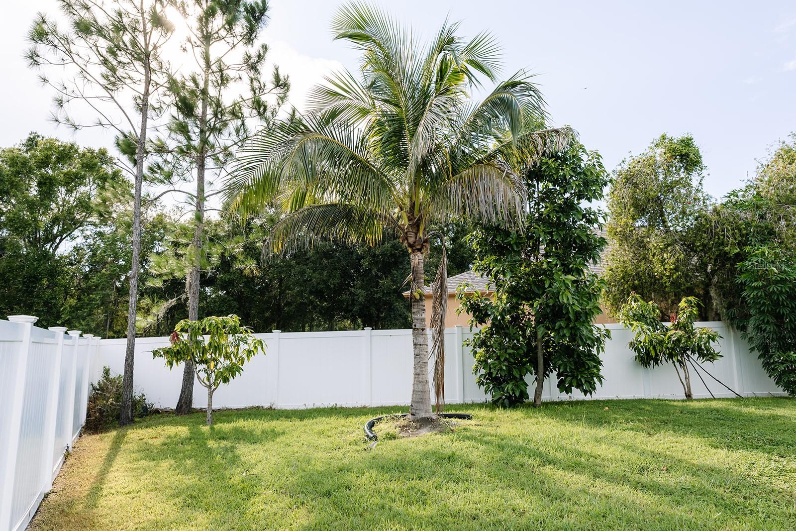 Image 52 of 54 For 22632 Beltrees Court