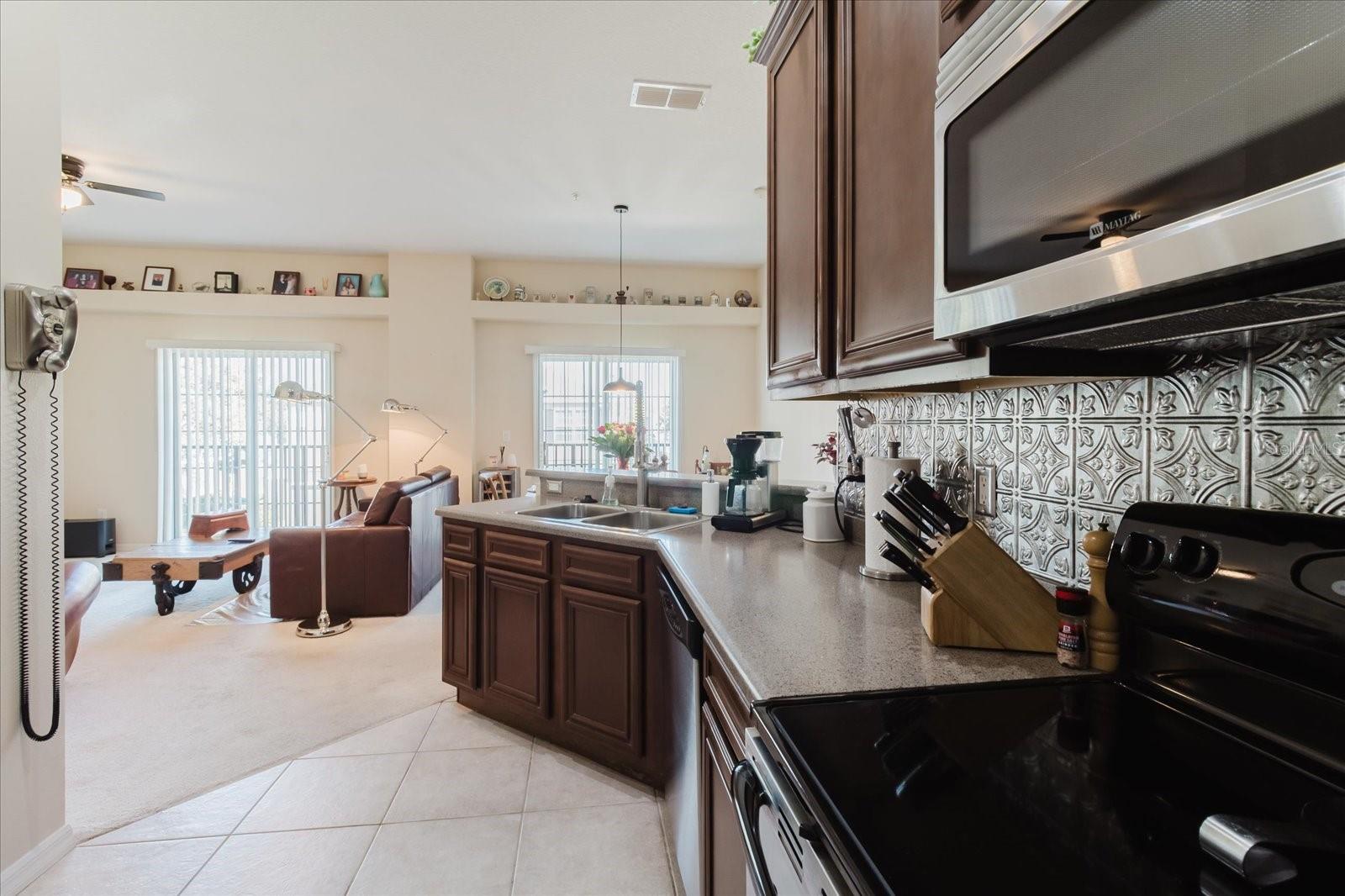 Image 16 of 47 For 6602 Goldenrod Road 99a