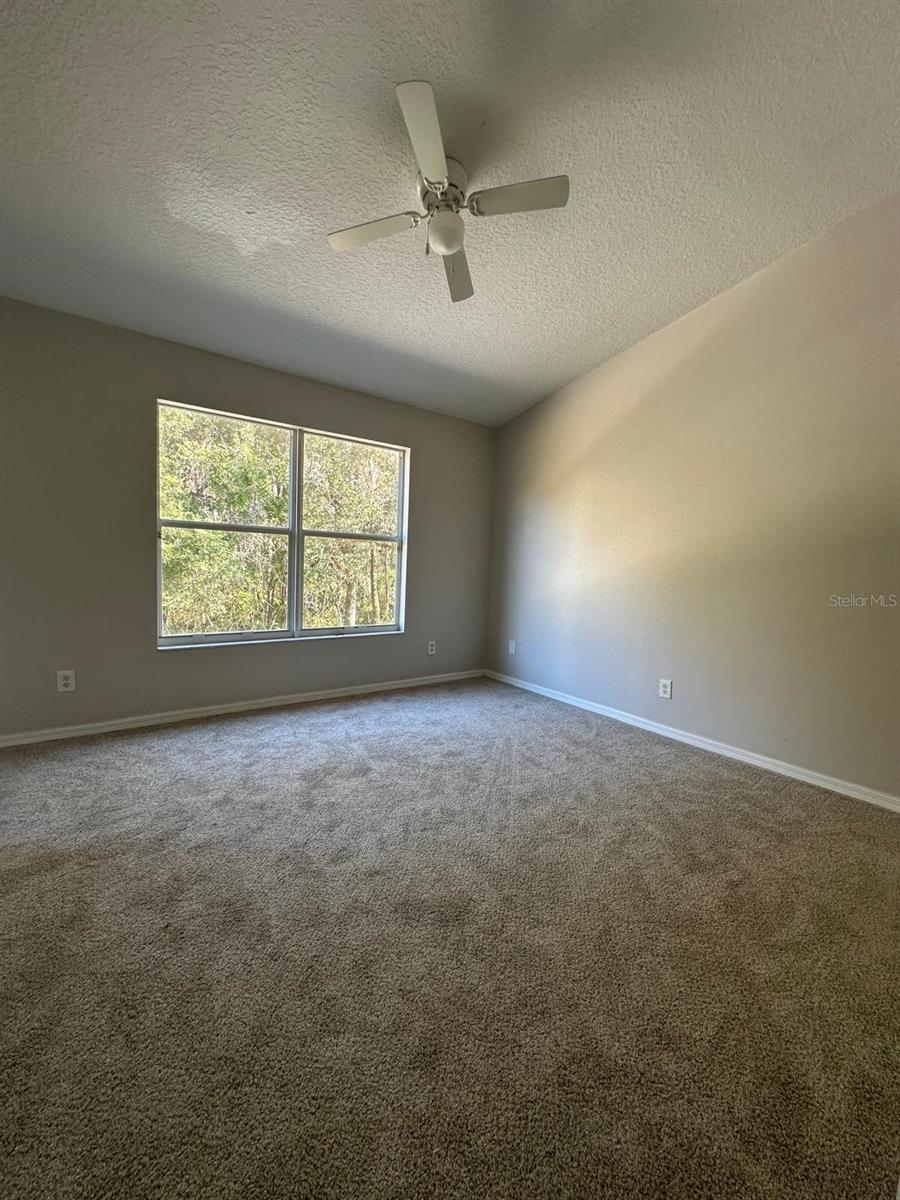 Image 14 of 39 For 30205 Swinford Lane