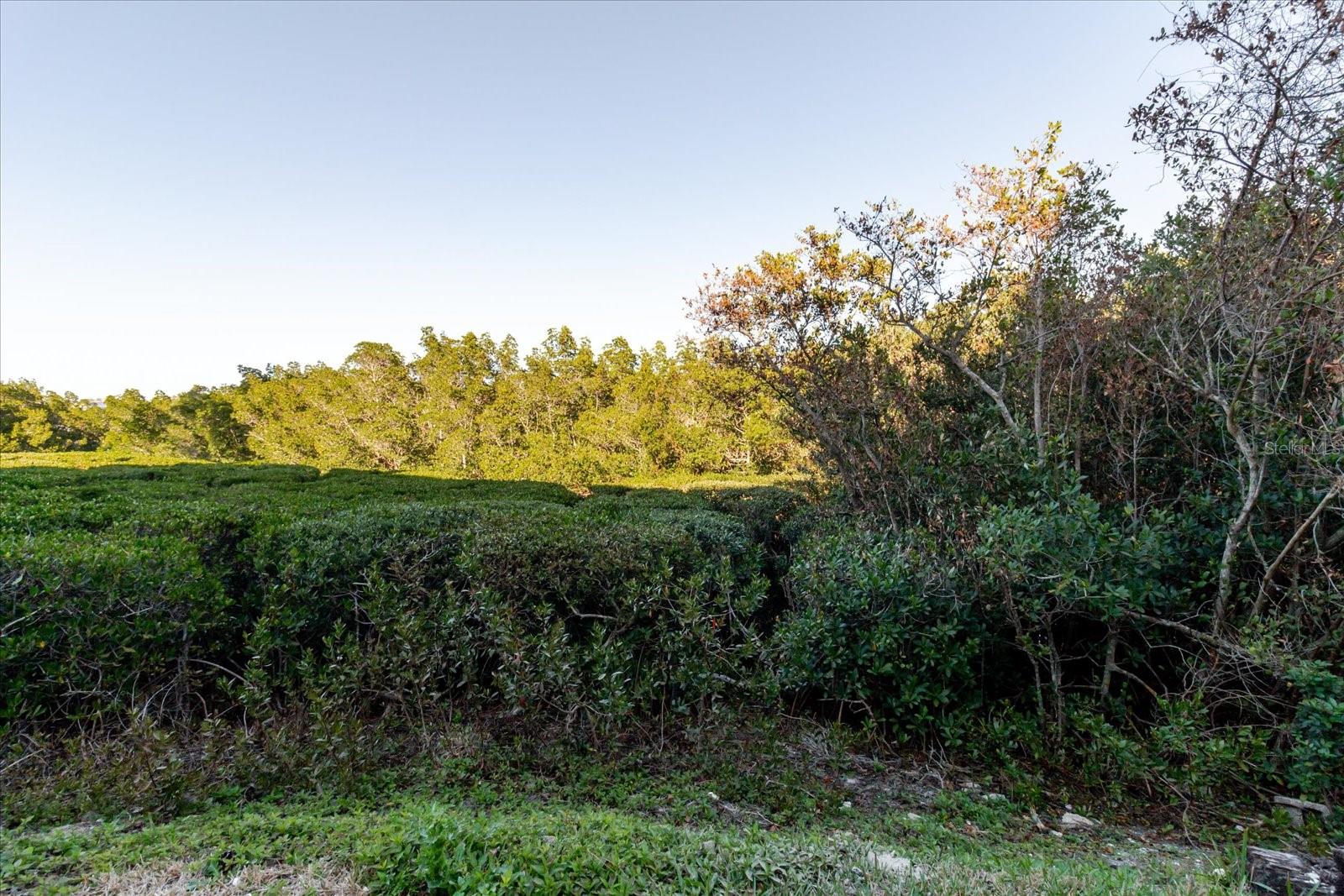 Image 74 of 86 For 208 Mariner Drive 208