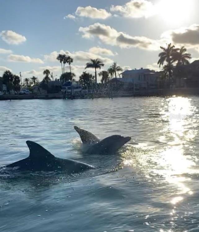 Image 86 of 87 For 5448 Leeward Lane