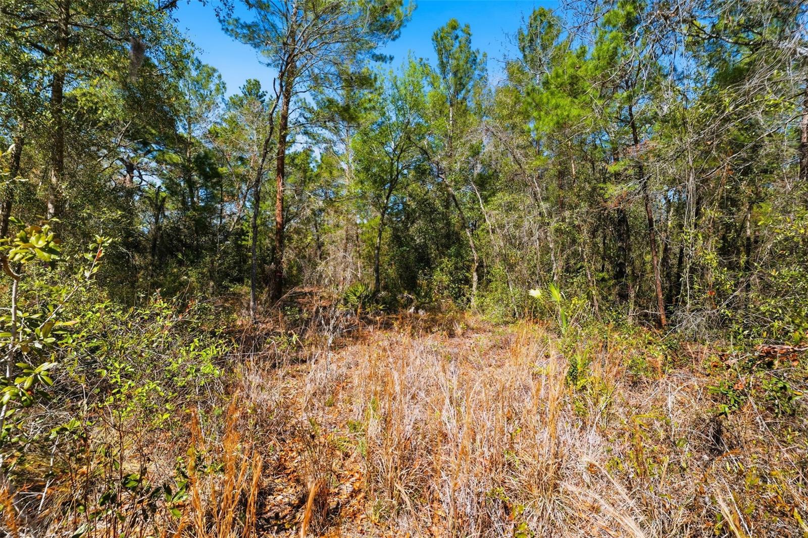 Image 7 of 17 For 9255 Grouse Way