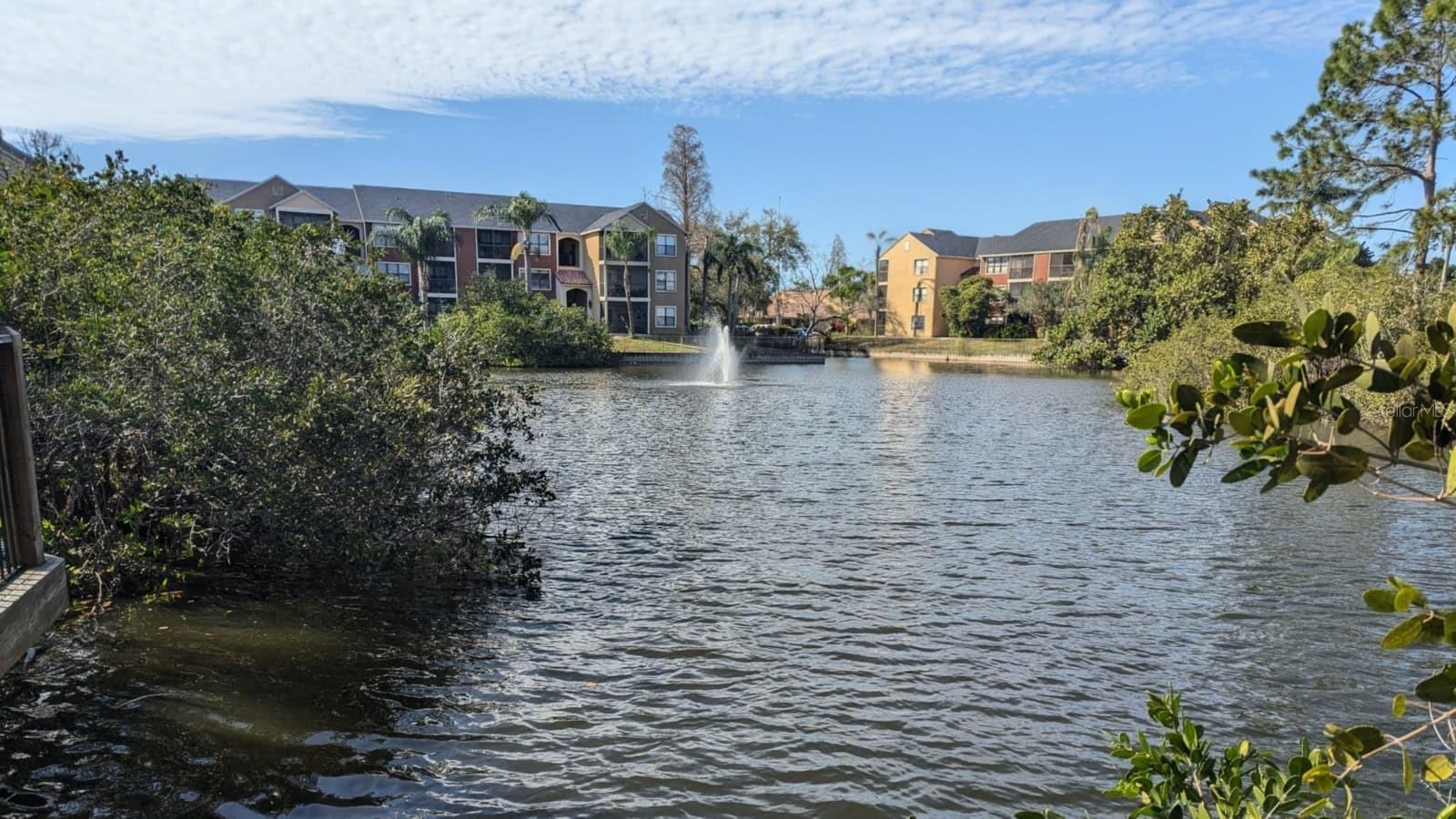 Image 3 of 25 For 11901 4th Street N 5212