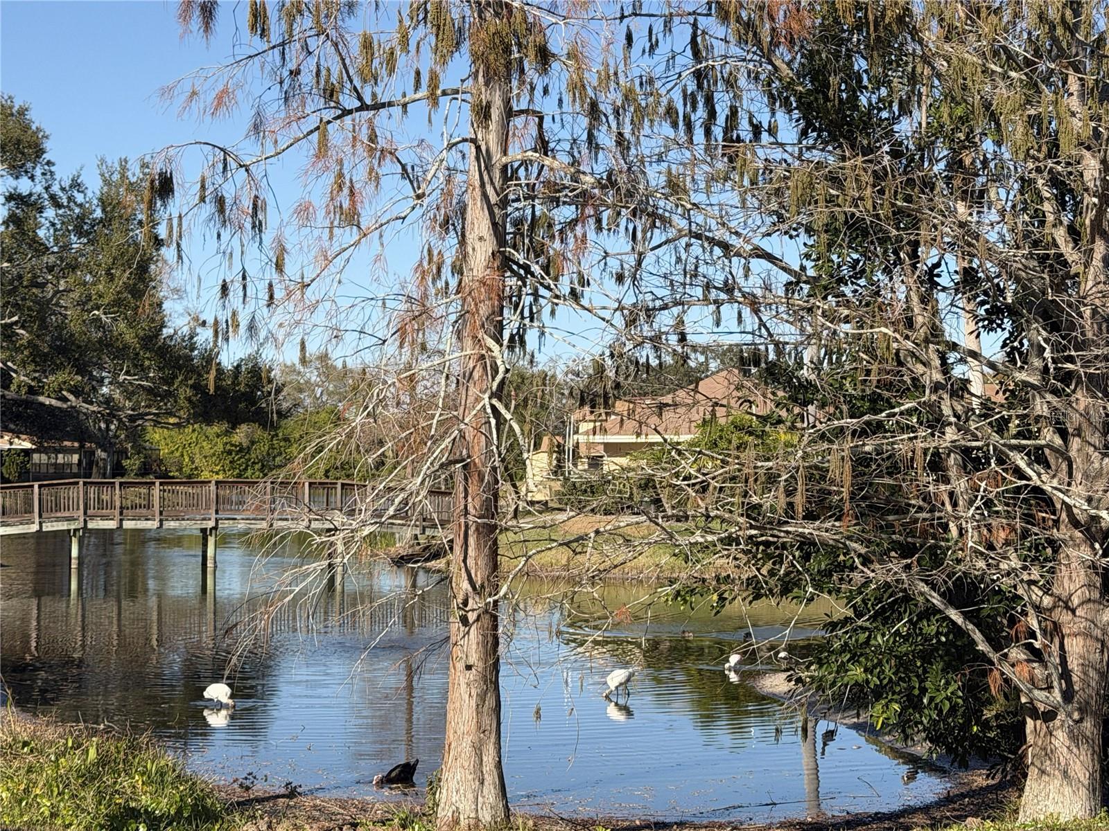 Image 36 of 43 For 8414 17th Street N