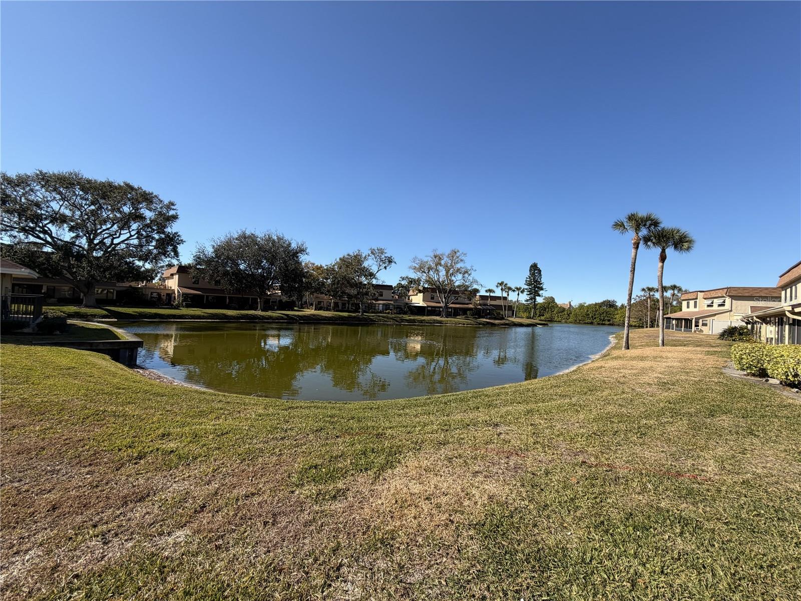 Image 9 of 43 For 8414 17th Street N