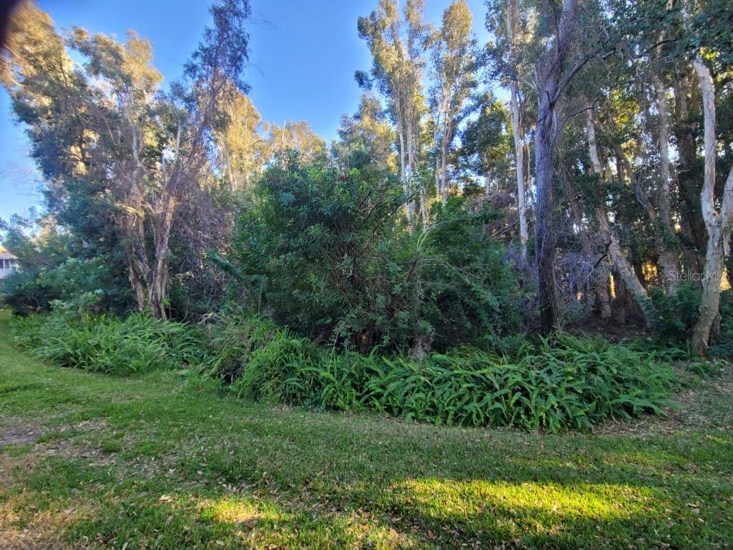 Image 34 of 45 For 820 Lantern Way 101