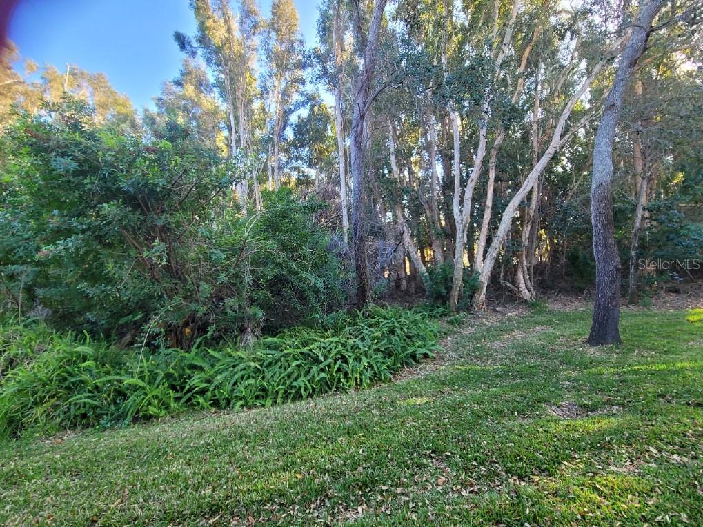 Image 35 of 45 For 820 Lantern Way 101