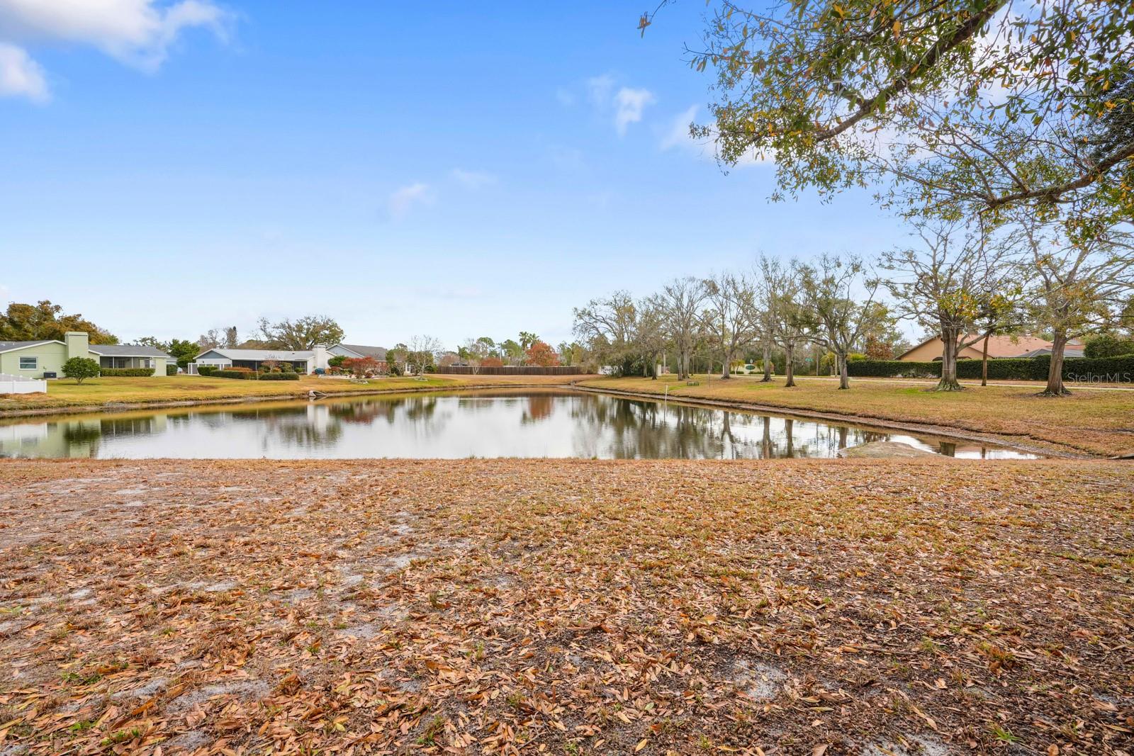 Image 27 of 44 For 12910 Leadwood Drive