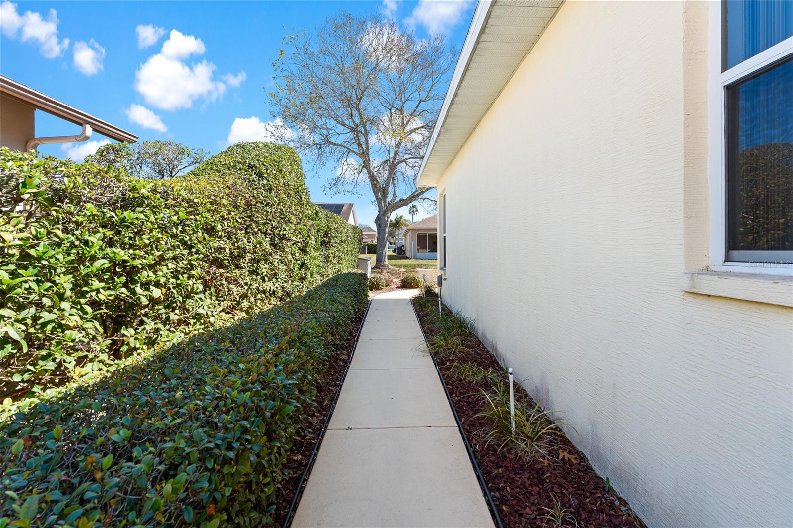 Listing photo id 42 for 1238 Masada Lane