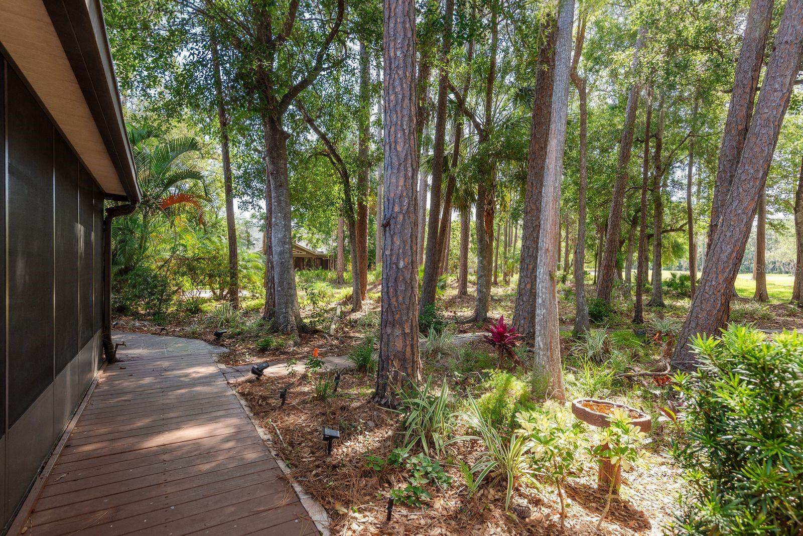 Image 29 of 44 For 3071 Bolt Drive