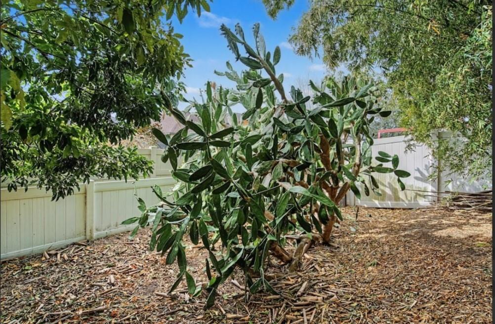 Image 50 of 65 For 10813 Rockledge View Drive