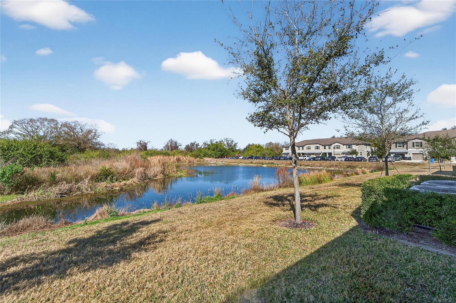 Image 40 of 48 For 15519 Prestwick Rose Place