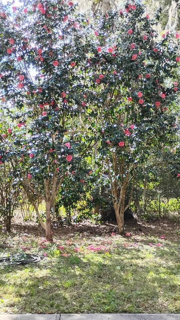 Image 6 of 7 For Address Not Provided