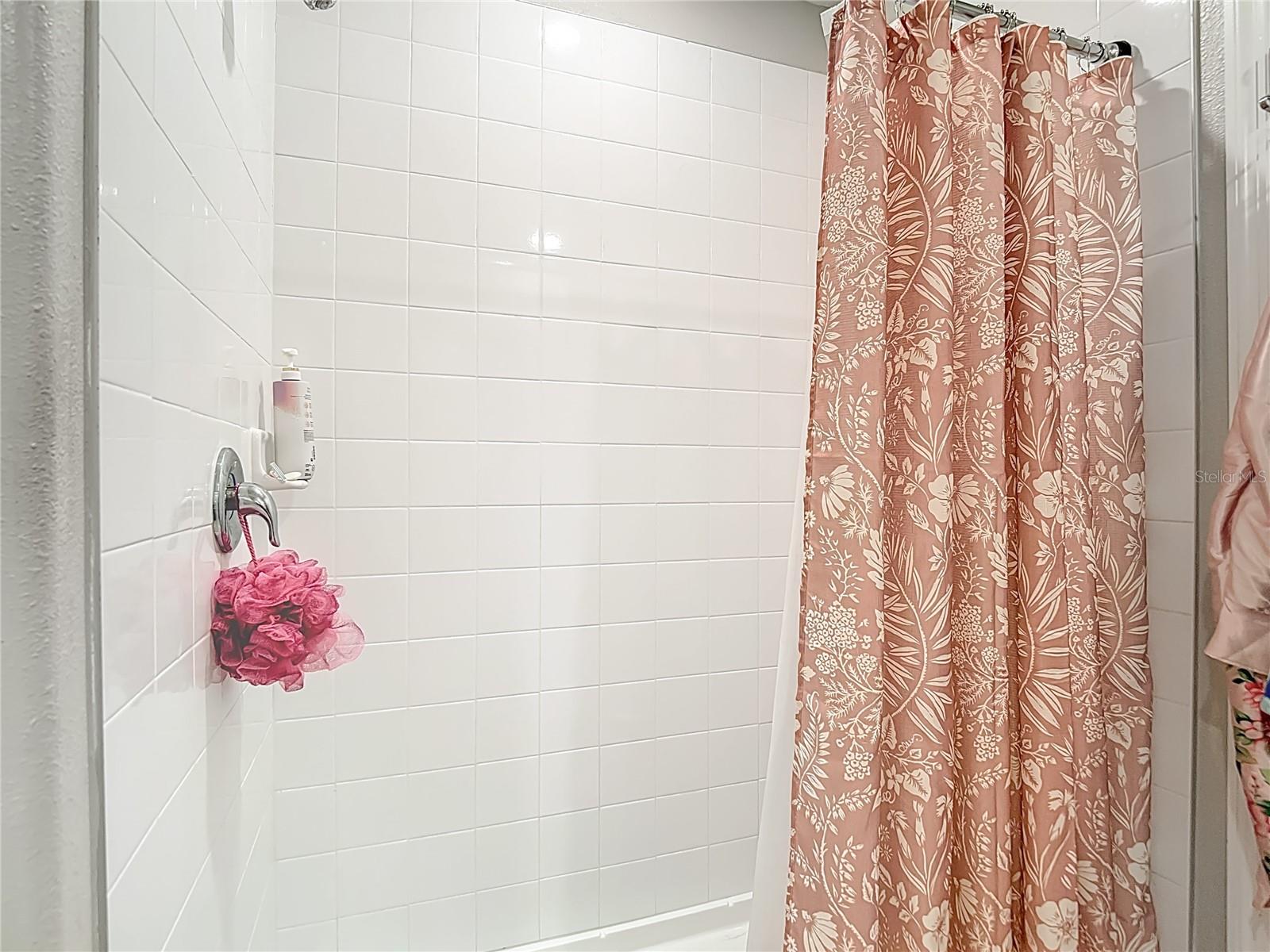 Image 34 of 75 For 4211 Romano Busciglio Street