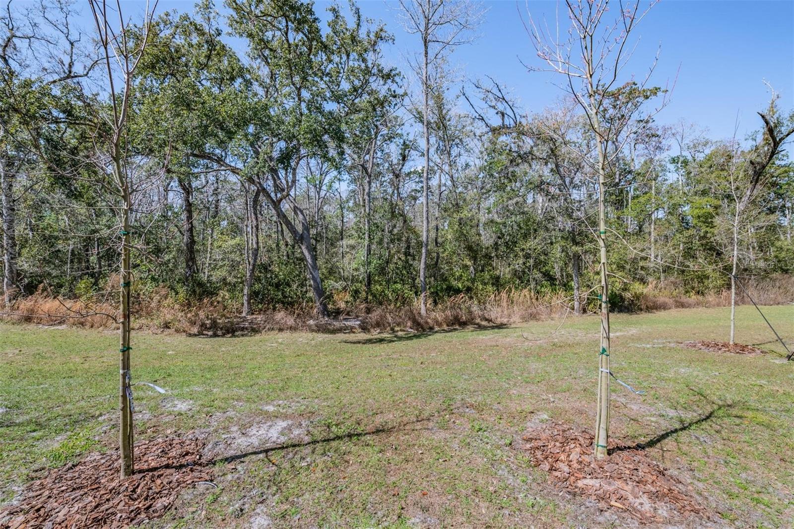 Image 37 of 40 For 11123 Wishing Cloud Road