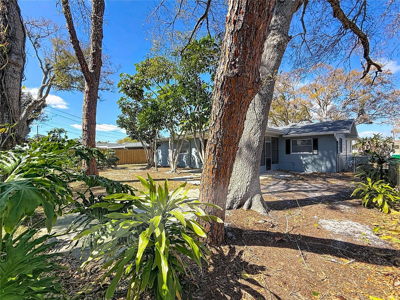 Image 50 of 58 For 11366 88th Avenue