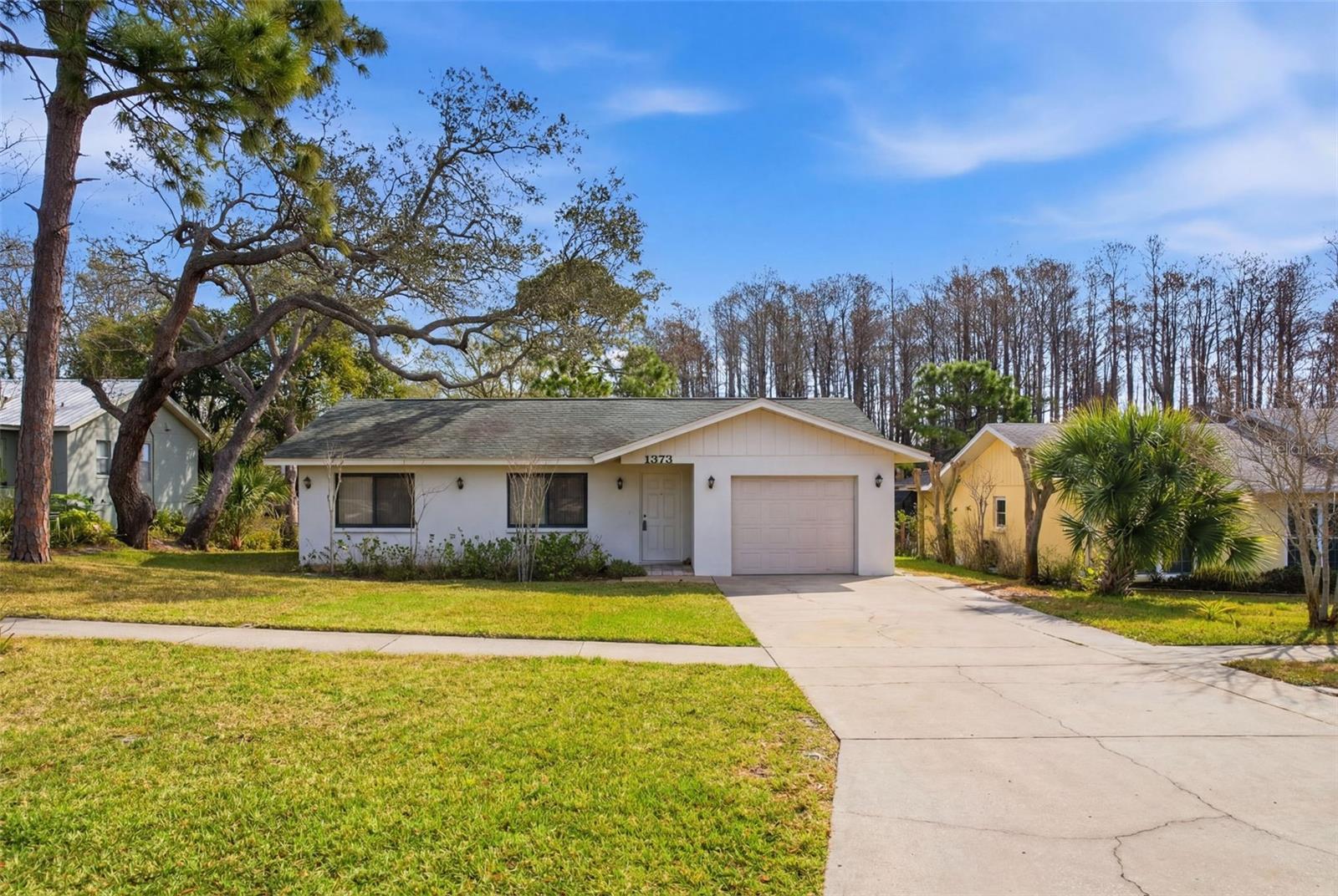 Image 5 of 58 For 1373 Disston Avenue