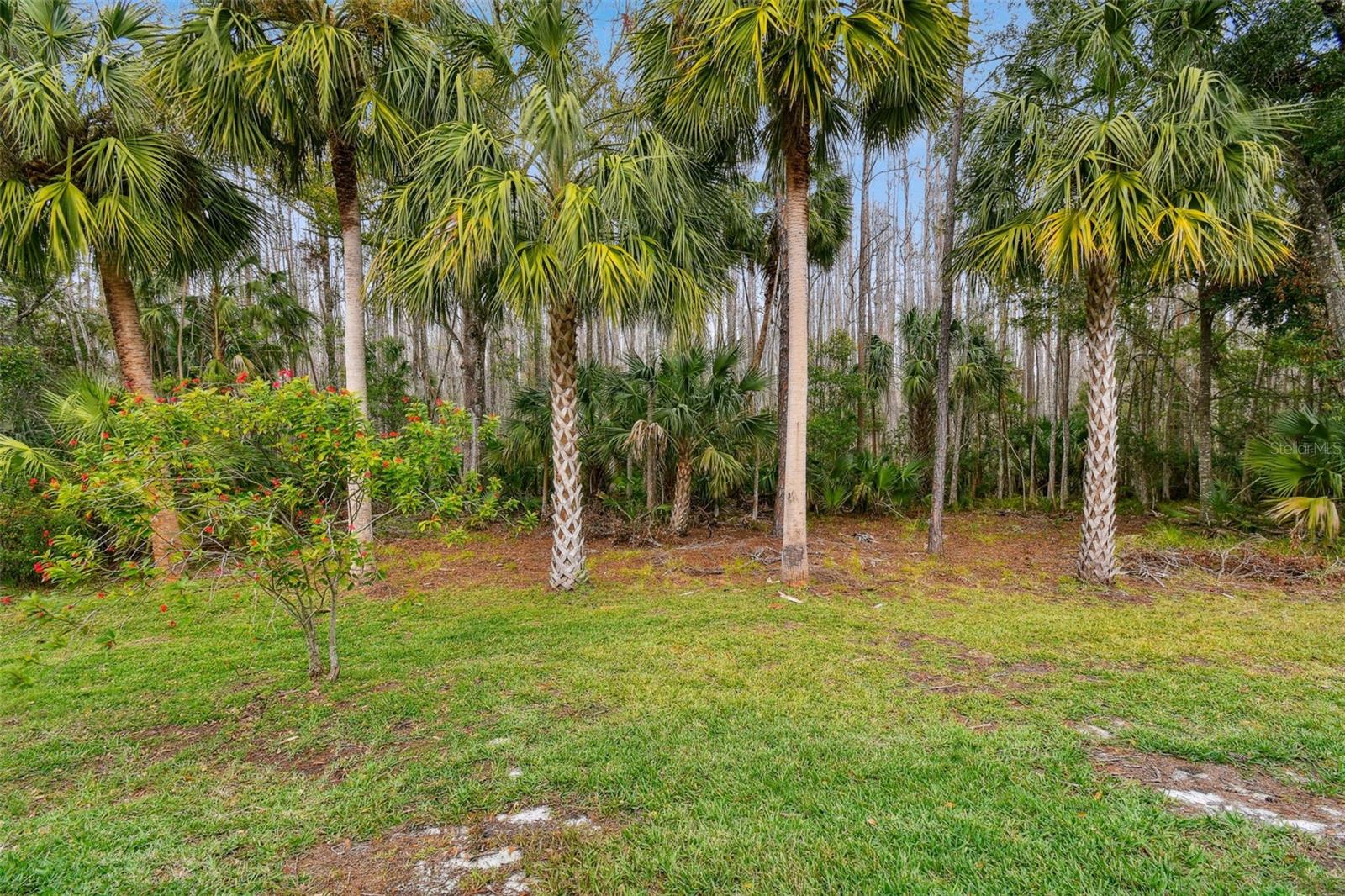 Image 75 of 82 For 8106 Kendelwick Court