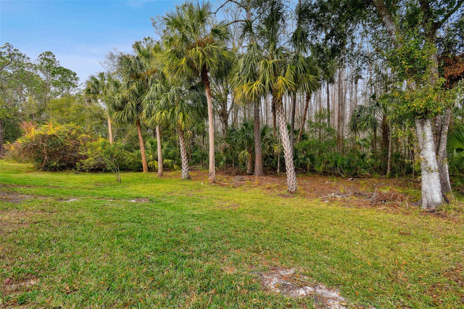 Image 77 of 82 For 8106 Kendelwick Court