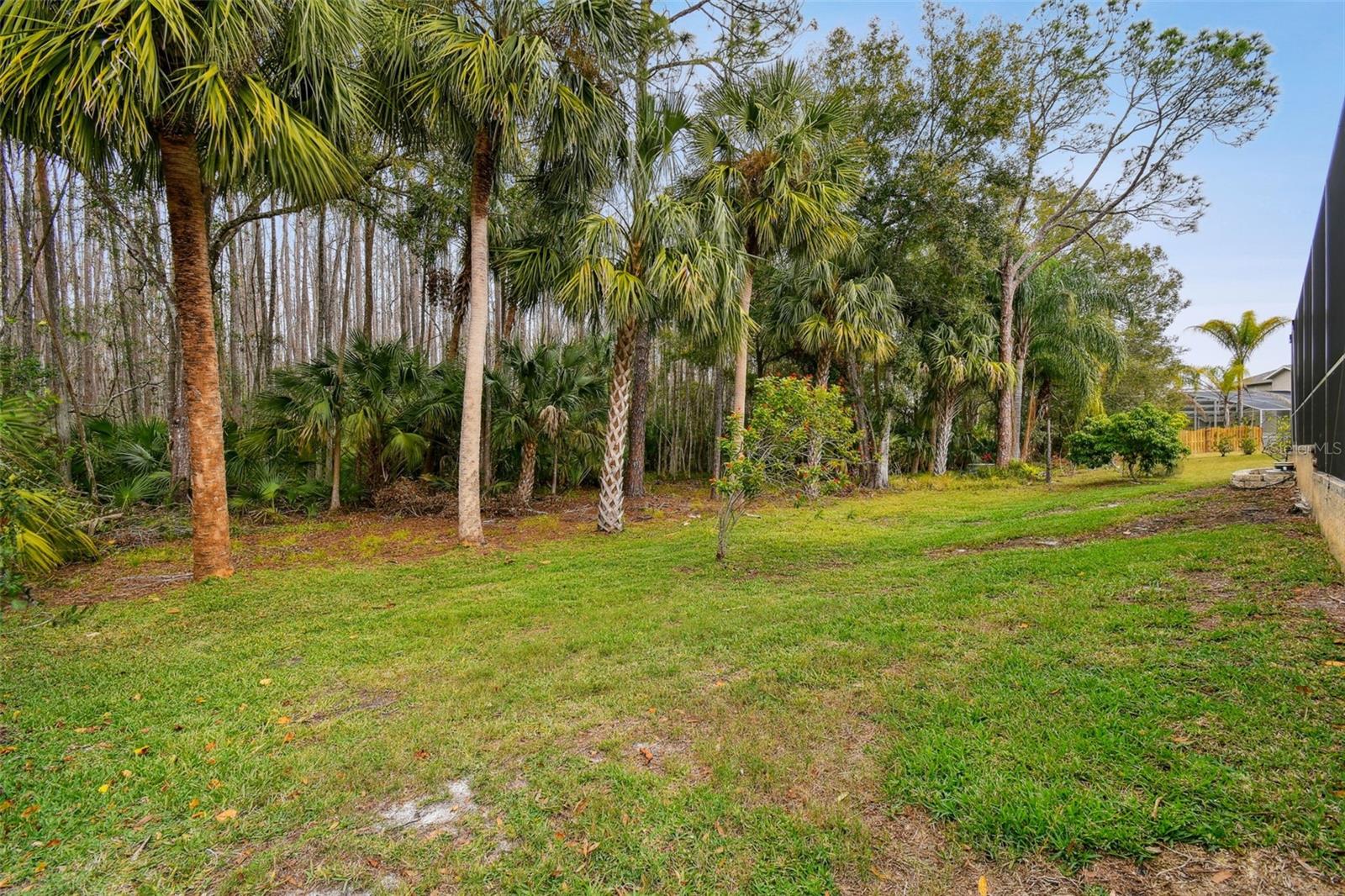 Image 78 of 82 For 8106 Kendelwick Court