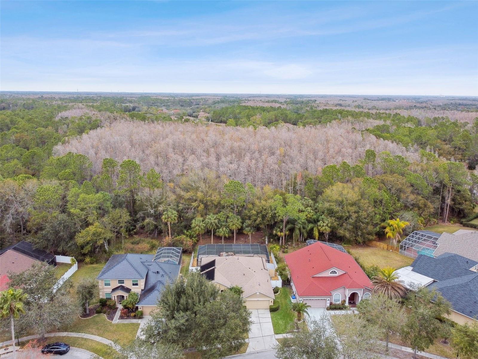 Image 82 of 82 For 8106 Kendelwick Court