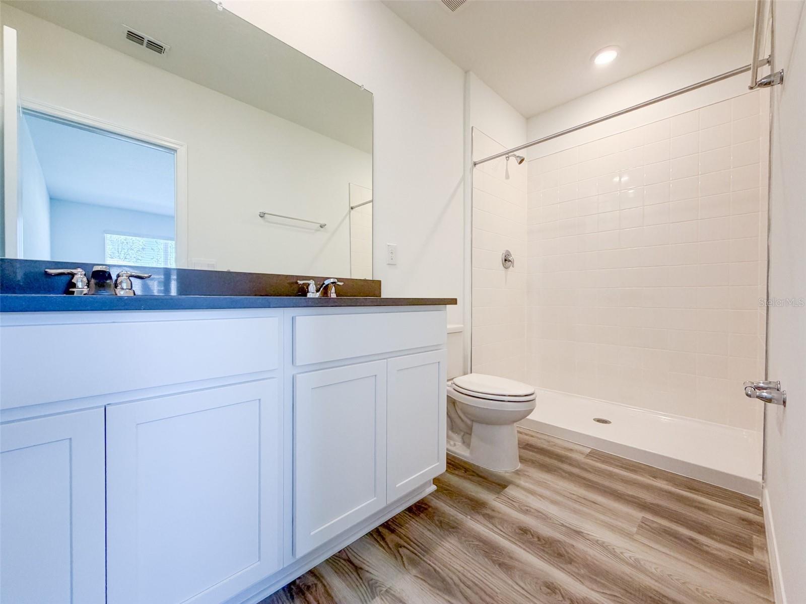 Image 10 of 16 For 31276 Paper Birch Street