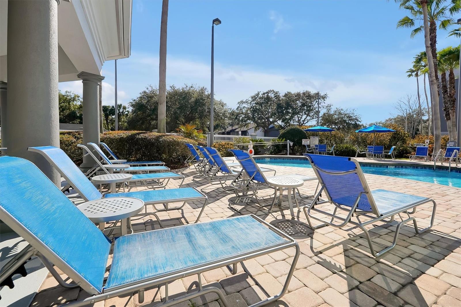 Image 31 of 47 For 8303 Palm Parkway 211