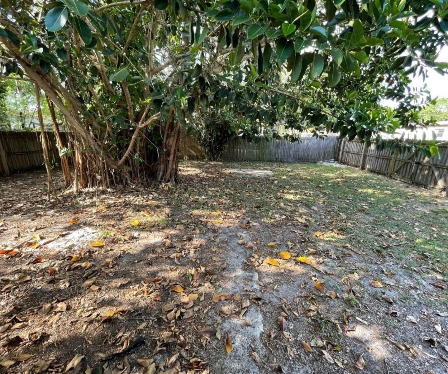 Image 8 of 9 For 3118 33rd Avenue