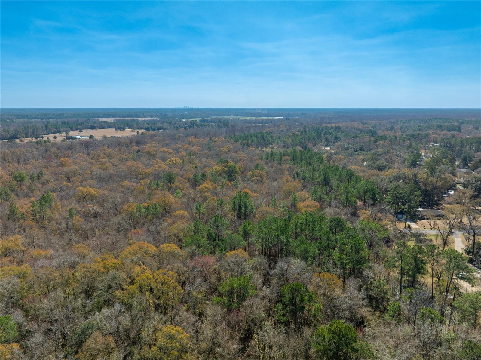 Image 15 of 31 For Fouracre Circle