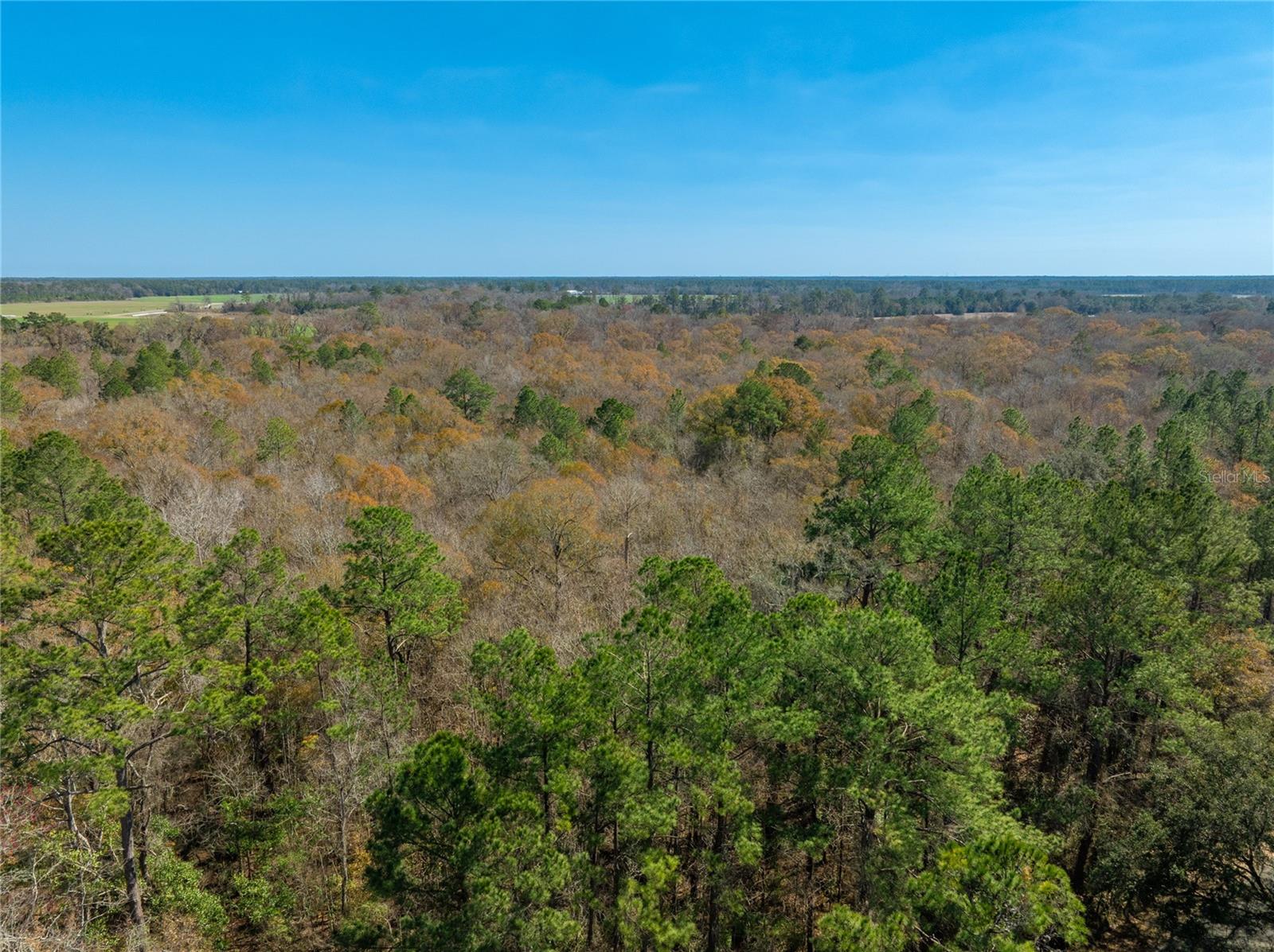 Image 18 of 31 For Fouracre Circle