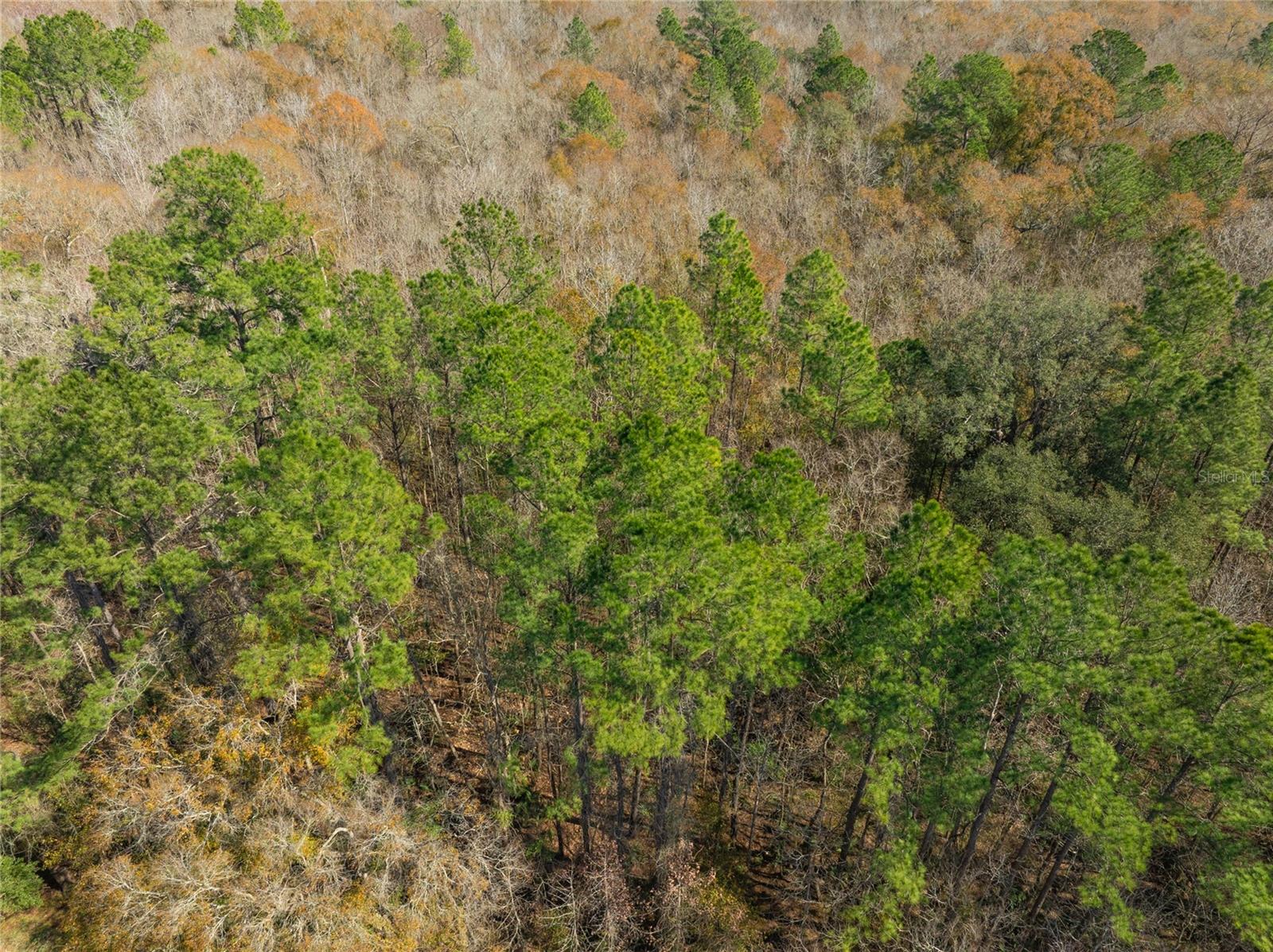 Image 19 of 31 For Fouracre Circle