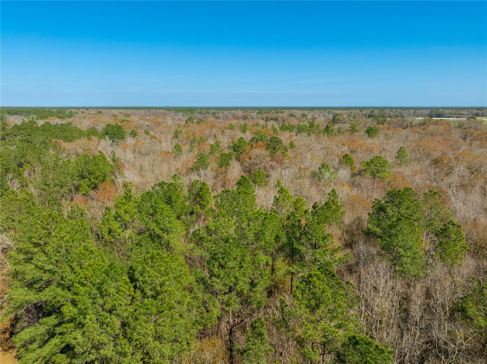 Image 20 of 31 For Fouracre Circle