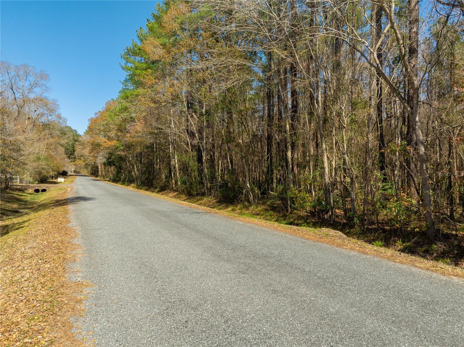 Image 25 of 31 For Fouracre Circle