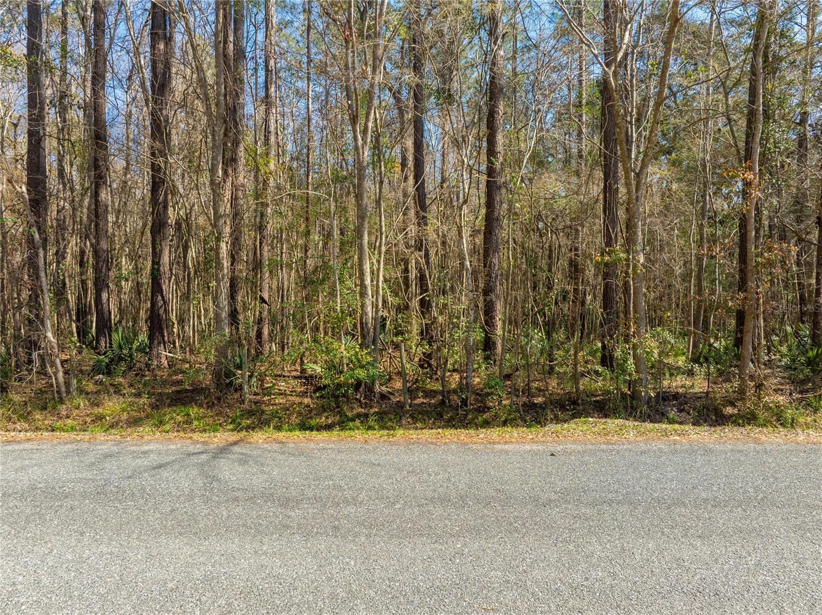 Image 26 of 31 For Fouracre Circle