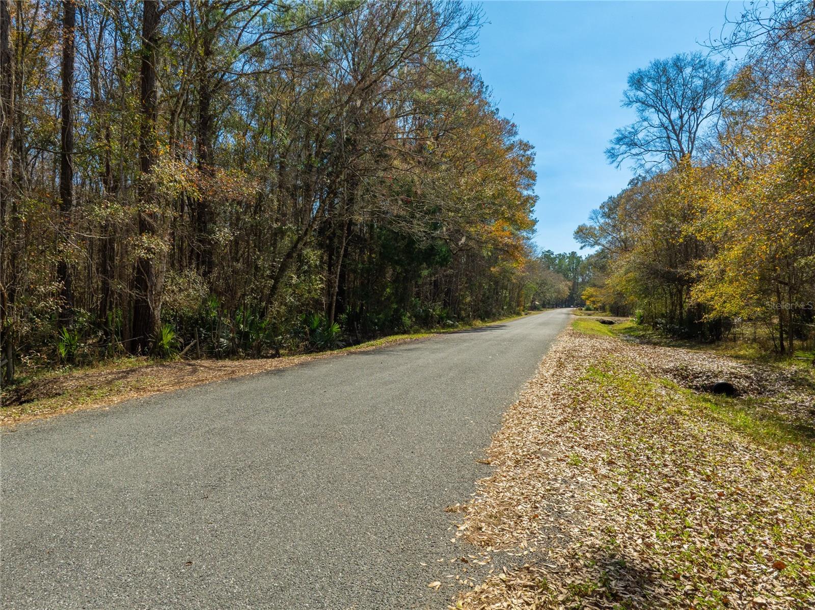 Image 28 of 31 For Fouracre Circle