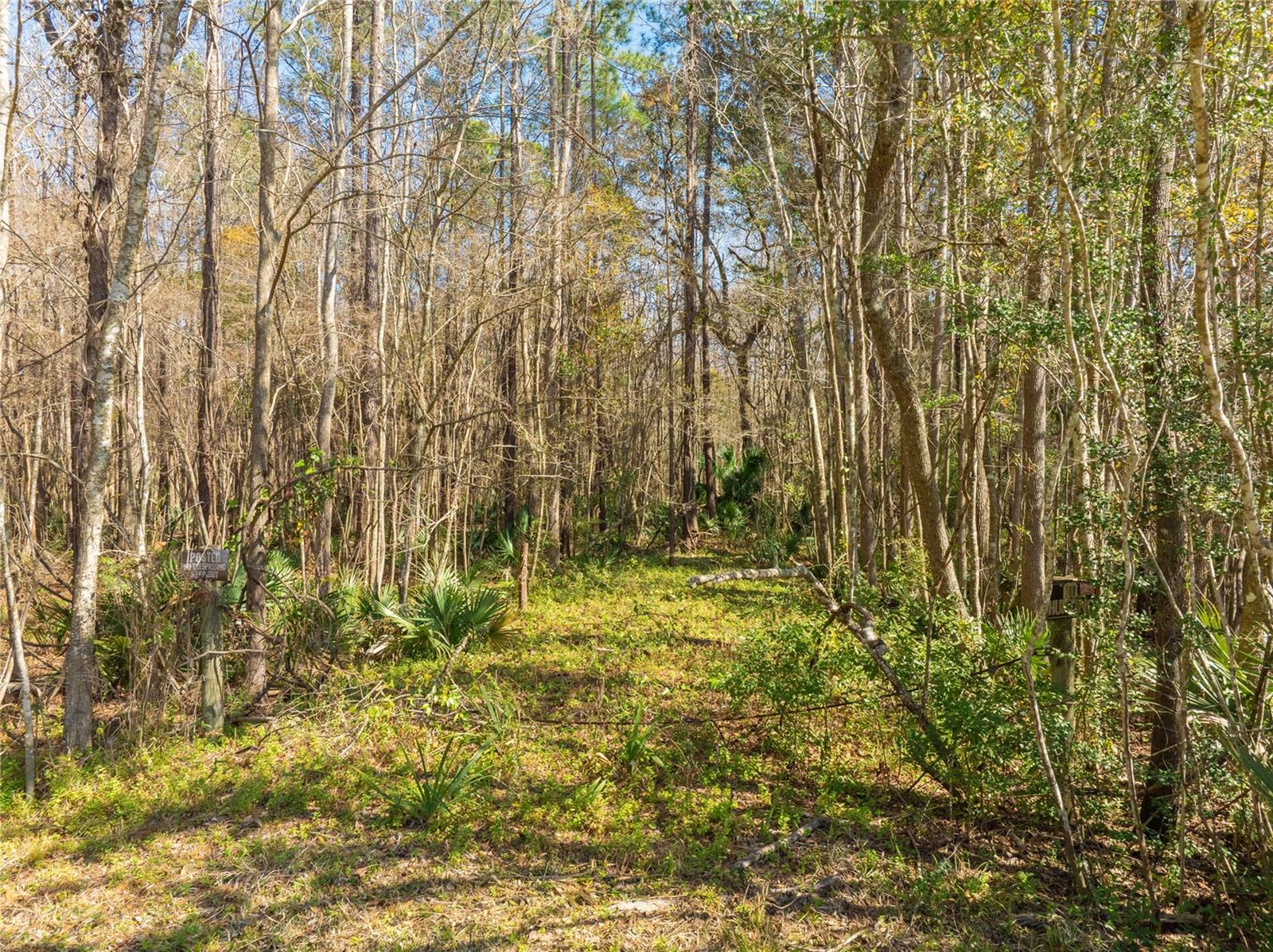 Image 30 of 31 For Fouracre Circle