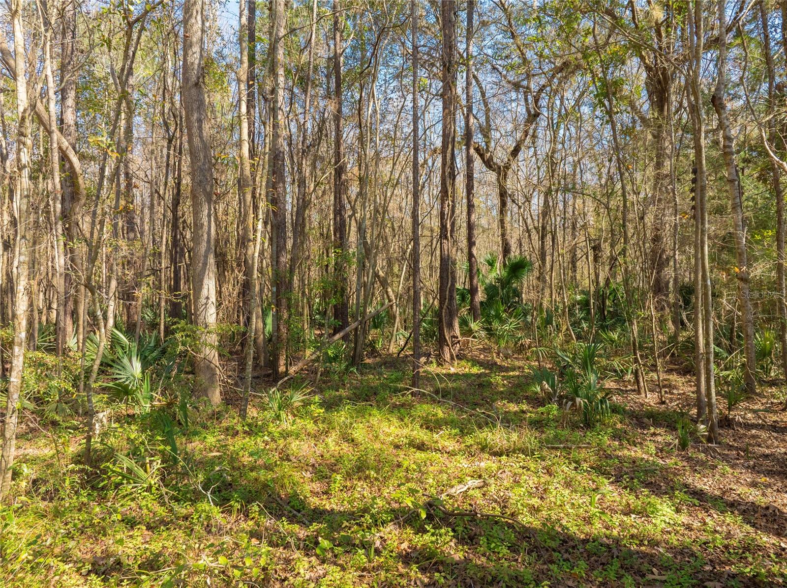 Image 31 of 31 For Fouracre Circle